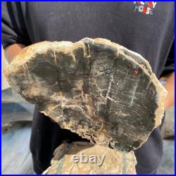 13lb Rare Natural petrified wood rough Wood fossil mineral specimen healing