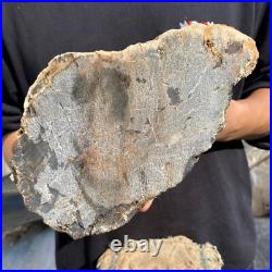 13lb Rare Natural petrified wood rough Wood fossil mineral specimen healing