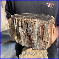 13lb Rare Natural petrified wood rough Wood fossil mineral specimen healing