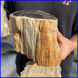 13lb Rare Natural petrified wood rough Wood fossil mineral specimen healing