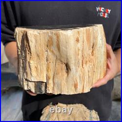13lb Rare Natural petrified wood rough Wood fossil mineral specimen healing