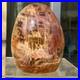 1400g_Natural_Fossil_Petrified_Wood_Polished_Freeform_Crystal_Mineral_Healing_01_js