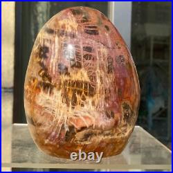 1400g Natural Fossil Petrified Wood Polished Freeform Crystal Mineral Healing 1400g Natural Fossil Petrified Wood Polished Freeform Crystal Mineral Healing