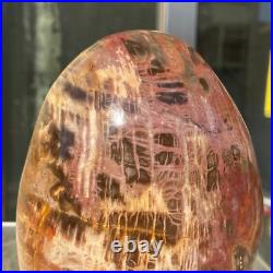 1400g Natural Fossil Petrified Wood Polished Freeform Crystal Mineral Healing 1400g Natural Fossil Petrified Wood Polished Freeform Crystal Mineral Healing