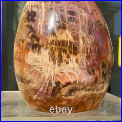 1400g Natural Fossil Petrified Wood Polished Freeform Crystal Mineral Healing 1400g Natural Fossil Petrified Wood Polished Freeform Crystal Mineral Healing