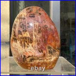 1400g Natural Fossil Petrified Wood Polished Freeform Crystal Mineral Healing 1400g Natural Fossil Petrified Wood Polished Freeform Crystal Mineral Healing
