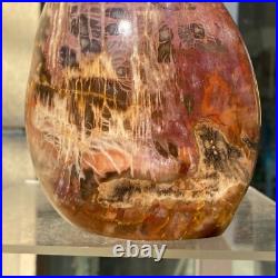 1400g Natural Fossil Petrified Wood Polished Freeform Crystal Mineral Healing 1400g Natural Fossil Petrified Wood Polished Freeform Crystal Mineral Healing
