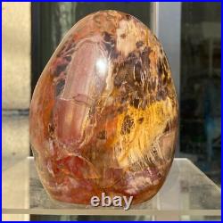 1400g Natural Fossil Petrified Wood Polished Freeform Crystal Mineral Healing 1400g Natural Fossil Petrified Wood Polished Freeform Crystal Mineral Healing