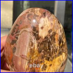 1400g Natural Fossil Petrified Wood Polished Freeform Crystal Mineral Healing 1400g Natural Fossil Petrified Wood Polished Freeform Crystal Mineral Healing