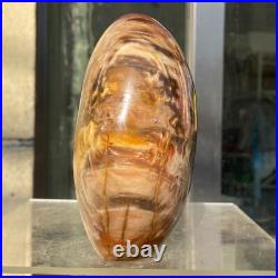 1400g Natural Fossil Petrified Wood Polished Freeform Crystal Mineral Healing 1400g Natural Fossil Petrified Wood Polished Freeform Crystal Mineral Healing