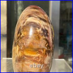 1400g Natural Fossil Petrified Wood Polished Freeform Crystal Mineral Healing 1400g Natural Fossil Petrified Wood Polished Freeform Crystal Mineral Healing