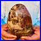 1400g_Natural_Red_Petrified_Wood_Crystal_Fossil_Landscape_Specimen_Reiki_Healing_01_sv