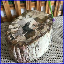 1410g Beautiful Polished Petrified Wood Fossil Crystal Slice Madagascar ms880