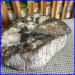 1410g Beautiful Polished Petrified Wood Fossil Crystal Slice Madagascar ms880