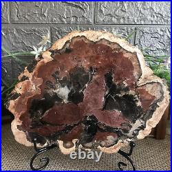 1425g Beautiful Polished Petrified Wood Crystal Slice Madagascar mh1502