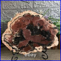 1425g Beautiful Polished Petrified Wood Crystal Slice Madagascar mh1502