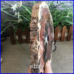 1425g Natural Petrified Wood Fossil Crystal Polished Slice Specimen gg