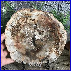 1435g Beautiful Polished Petrified Wood Crystal Slice Madagascar mh1234