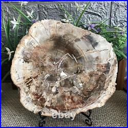 1435g Beautiful Polished Petrified Wood Crystal Slice Madagascar mh1234