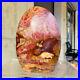 1440g_Natural_Red_Petrified_Wood_Crystal_Fossil_Landscape_Specimen_Reiki_Healing_01_sef