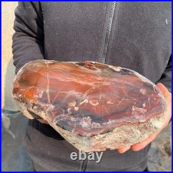 14LB Natural petrified wood rough Wood fossil mineral specimen healing energy 14LB Natural petrified wood rough Wood fossil mineral specimen healing energy