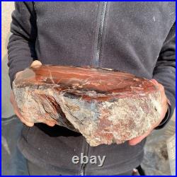 14LB Natural petrified wood rough Wood fossil mineral specimen healing energy 14LB Natural petrified wood rough Wood fossil mineral specimen healing energy
