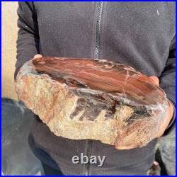 14LB Natural petrified wood rough Wood fossil mineral specimen healing energy 14LB Natural petrified wood rough Wood fossil mineral specimen healing energy