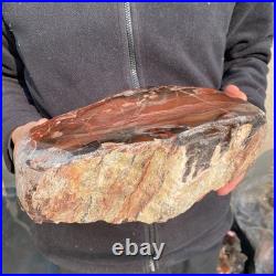 14LB Natural petrified wood rough Wood fossil mineral specimen healing energy 14LB Natural petrified wood rough Wood fossil mineral specimen healing energy