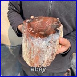 14LB Natural petrified wood rough Wood fossil mineral specimen healing energy 14LB Natural petrified wood rough Wood fossil mineral specimen healing energy