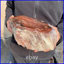 14LB Natural petrified wood rough Wood fossil mineral specimen healing energy 14LB Natural petrified wood rough Wood fossil mineral specimen healing energy
