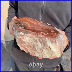 14LB Natural petrified wood rough Wood fossil mineral specimen healing energy 14LB Natural petrified wood rough Wood fossil mineral specimen healing energy