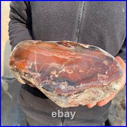 14.1lb Rare Natural petrified wood rough Wood fossil mineral specimen healing 14.1lb Rare Natural petrified wood rough Wood fossil mineral specimen healing