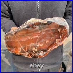 14.1lb Rare Natural petrified wood rough Wood fossil mineral specimen healing 14.1lb Rare Natural petrified wood rough Wood fossil mineral specimen healing