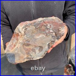 14.1lb Rare Natural petrified wood rough Wood fossil mineral specimen healing 14.1lb Rare Natural petrified wood rough Wood fossil mineral specimen healing