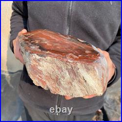 14.1lb Rare Natural petrified wood rough Wood fossil mineral specimen healing 14.1lb Rare Natural petrified wood rough Wood fossil mineral specimen healing