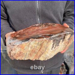 14.1lb Rare Natural petrified wood rough Wood fossil mineral specimen healing 14.1lb Rare Natural petrified wood rough Wood fossil mineral specimen healing