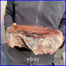 14.1lb Rare Natural petrified wood rough Wood fossil mineral specimen healing 14.1lb Rare Natural petrified wood rough Wood fossil mineral specimen healing