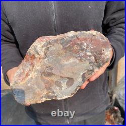 14.1lb Rare Natural petrified wood rough Wood fossil mineral specimen healing 14.1lb Rare Natural petrified wood rough Wood fossil mineral specimen healing