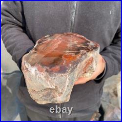 14.1lb Rare Natural petrified wood rough Wood fossil mineral specimen healing 14.1lb Rare Natural petrified wood rough Wood fossil mineral specimen healing