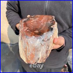 14.1lb Rare Natural petrified wood rough Wood fossil mineral specimen healing 14.1lb Rare Natural petrified wood rough Wood fossil mineral specimen healing