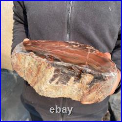 14.1lb Rare Natural petrified wood rough Wood fossil mineral specimen healing 14.1lb Rare Natural petrified wood rough Wood fossil mineral specimen healing