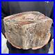 14_5lb_Rare_Natural_petrified_wood_rough_Wood_fossil_mineral_specimen_healing_01_hmib