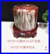 14_96LB_Natural_Petrified_wood_fossil_quartz_crystal_decoration_Mineral_specimen_01_wop