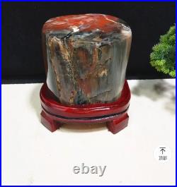 14.96LB Natural Petrified wood fossil quartz crystal decoration Mineral specimen 14.96LB Natural Petrified wood fossil quartz crystal decoration Mineral specimen