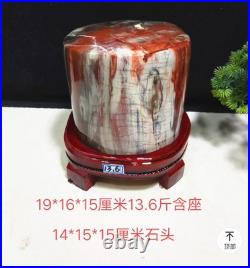 14.96LB Natural Petrified wood fossil quartz crystal decoration Mineral specimen 14.96LB Natural Petrified wood fossil quartz crystal decoration Mineral specimen