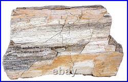 14 Pound 6.68 Oz Rare Nevada Quartz Crystal Petrified Fossil Wood Specimen PWS2