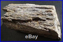 14 Pounds 15.6 Oz RARE Petrified Burn Wood & Cystalized Smoky Quartz Crystal Gem