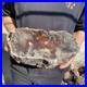 14lb_Rare_Natural_petrified_wood_rough_Wood_fossil_mineral_specimen_healing_01_yoj