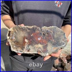 14lb Rare Natural petrified wood rough Wood fossil mineral specimen healing 14lb Rare Natural petrified wood rough Wood fossil mineral specimen healing