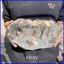 14lb Rare Natural petrified wood rough Wood fossil mineral specimen healing 14lb Rare Natural petrified wood rough Wood fossil mineral specimen healing